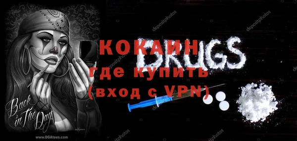 индика Балахна