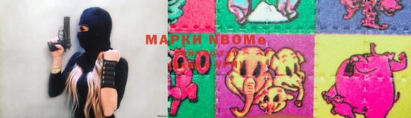 индика Балахна