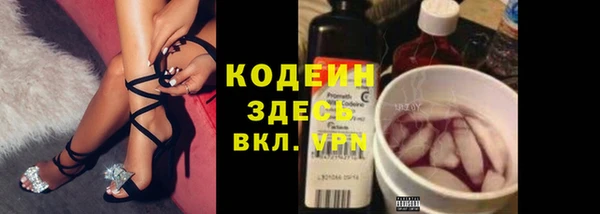 индика Балахна