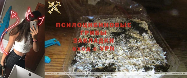 индика Балахна