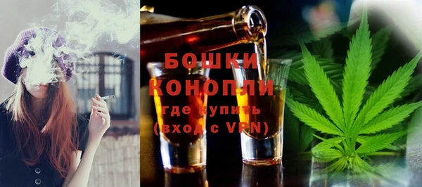 индика Балахна